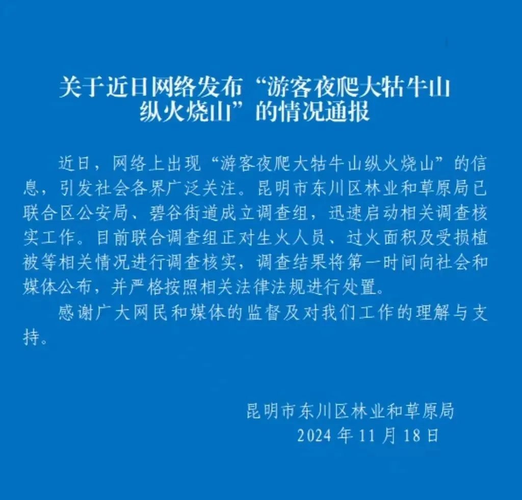 大妈故意放火烧山，背后原因令人大跌眼镜！