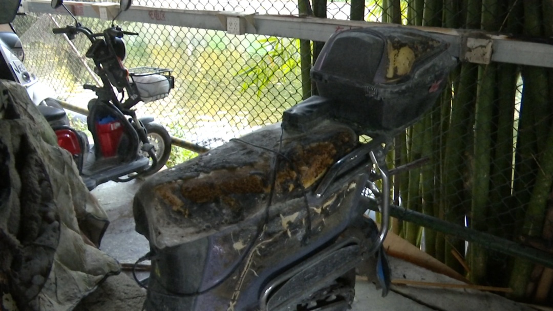 火苗窜起3米多高！昆明一单车棚里电动车起火，引燃竹林……