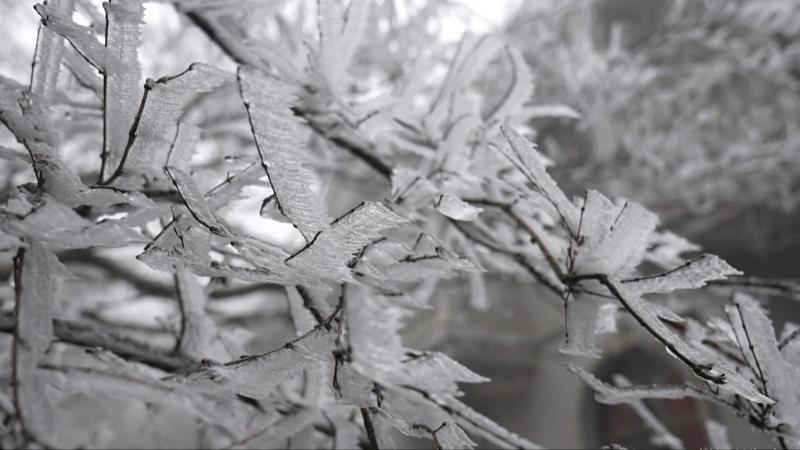 江西阴雨湿冷现寒意 庐山迎来今冬首场降雪