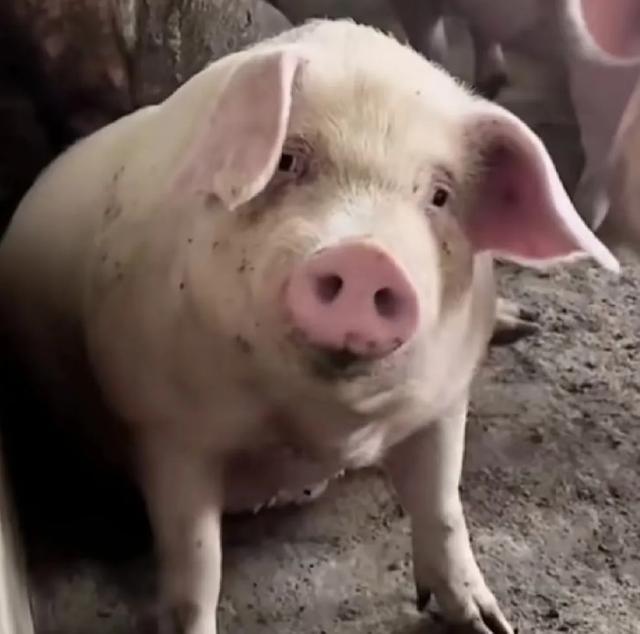 有一类花生,千万别吃 有一类花生,千万别吃