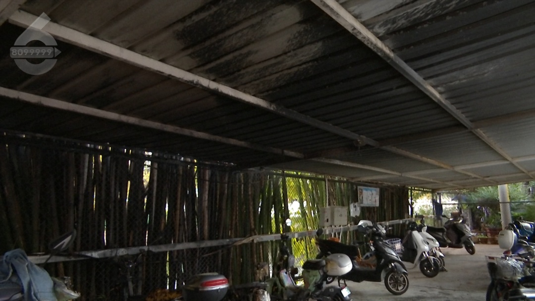 火苗窜起3米多高！昆明一单车棚里电动车起火，引燃竹林……