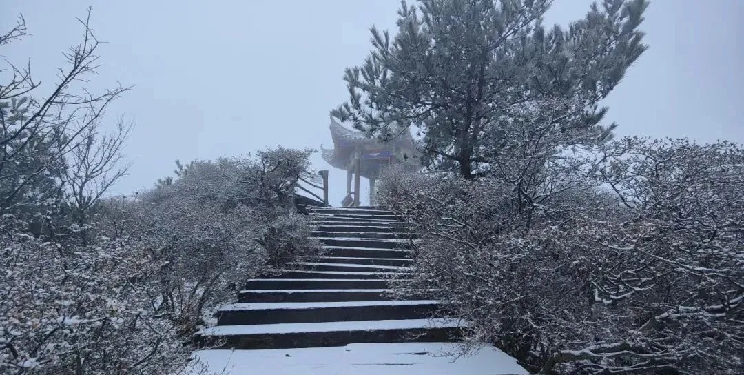 湖北多地下雪了！即将升温！直冲15℃