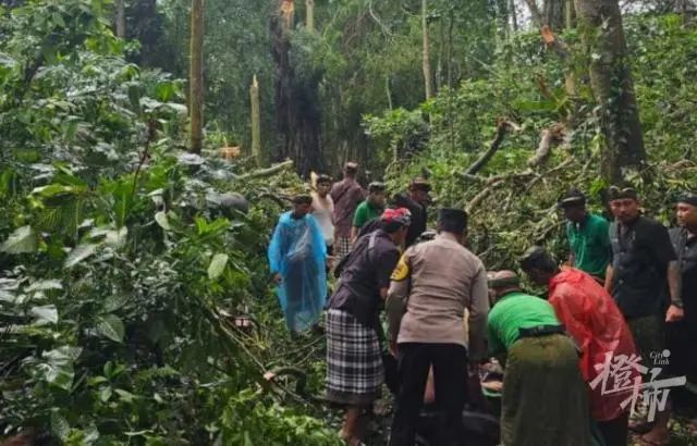 巴厘岛著名景区大树被强风吹倒，两名游客不幸身亡，当地媒体：这是常见灾害