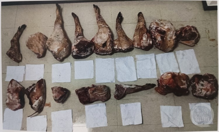 “狗杀的为何也算我头上？”男子驯养3只烈犬围猎保护动物获刑