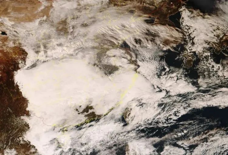 上海官宣入冬！紧急提醒：这种病毒检出率高达15%，对部分儿童影响大！