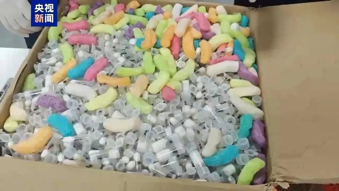 上海海关查获活体蚂蚁2150只！繁殖能力强，易造成生物入侵