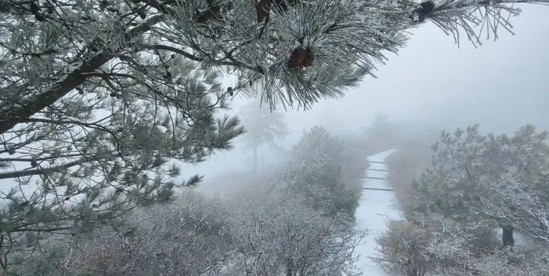 湖北多地下雪了！即将升温！直冲15℃