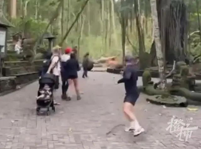 巴厘岛著名景区大树被强风吹倒，两名游客不幸身亡，当地媒体：这是常见灾害