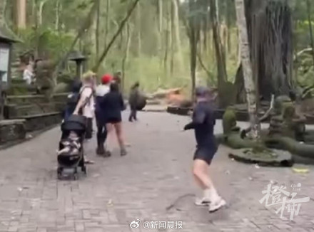 巴厘岛著名景区大树倒塌2游客被砸身亡，当地媒体：这是常见灾害