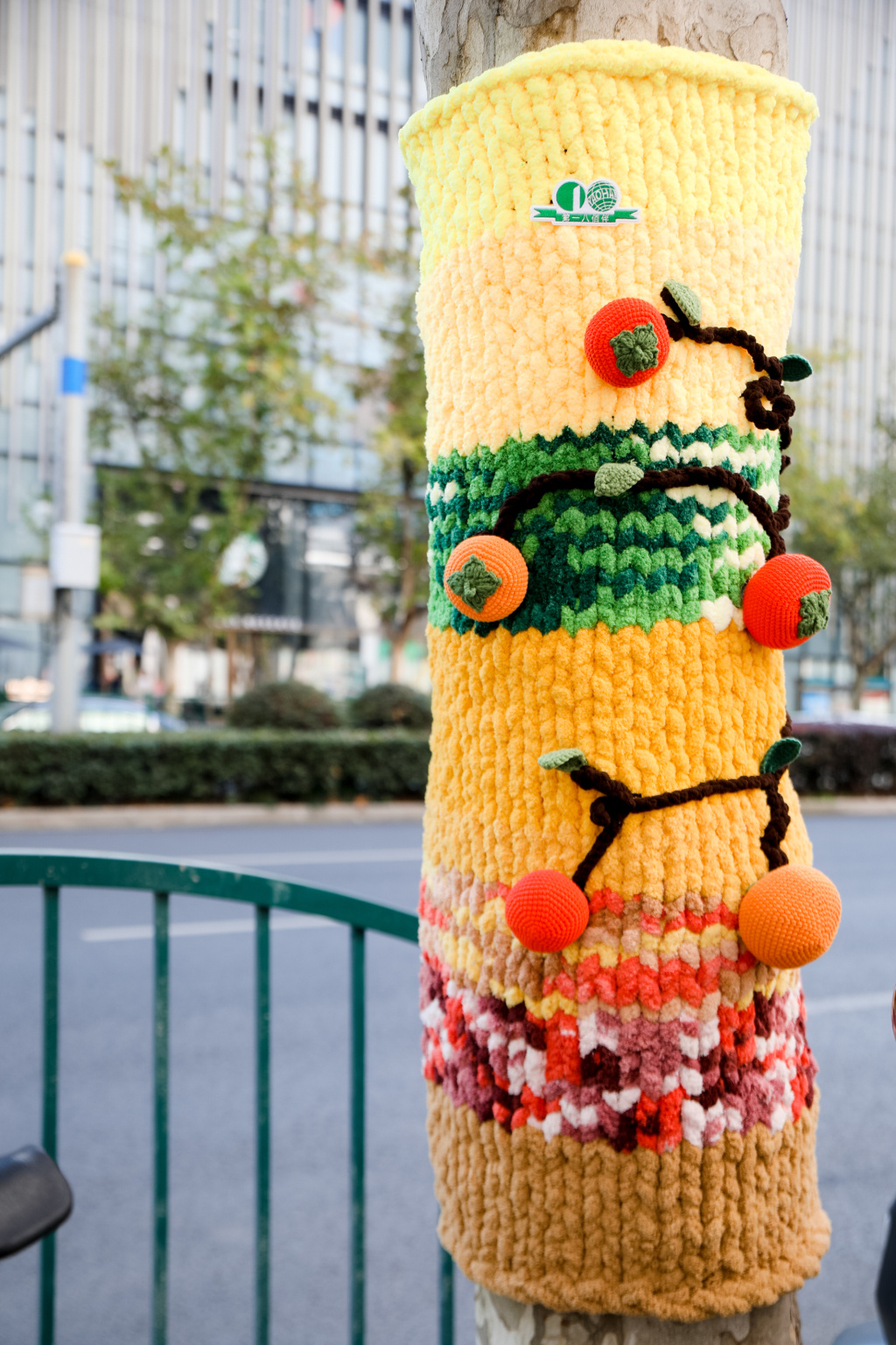 上海这条路的行道树穿上“毛衣”，路人拥抱、拍照，情绪价值拉满