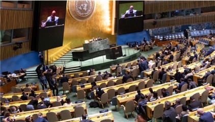 毫不意外！美以再投反对票