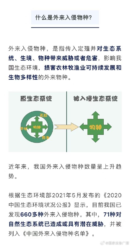 警惕!男子非法引进外来入侵物种获刑 警惕!男子非法引进外来入侵物种获刑