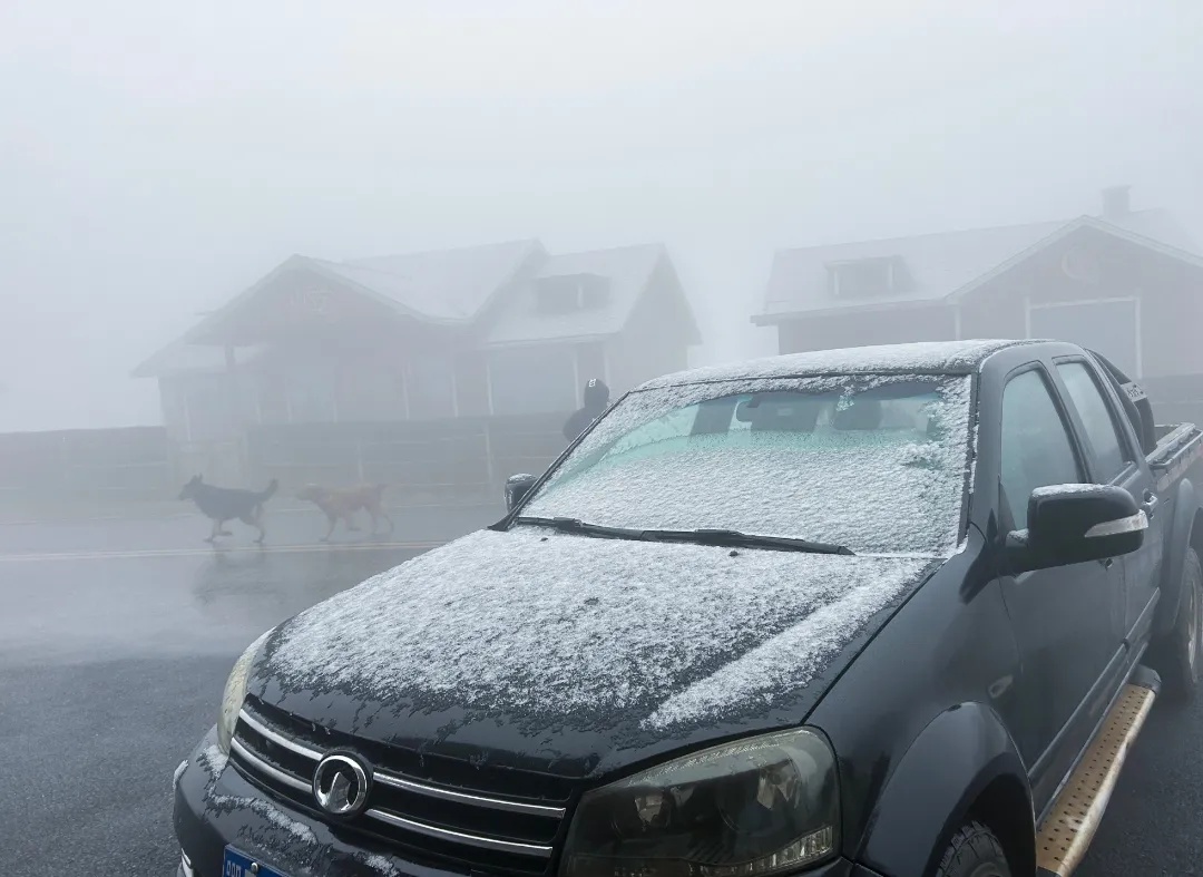 湖北多地下雪了！即将升温！直冲15℃