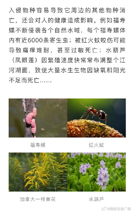 警惕!男子非法引进外来入侵物种获刑 警惕!男子非法引进外来入侵物种获刑