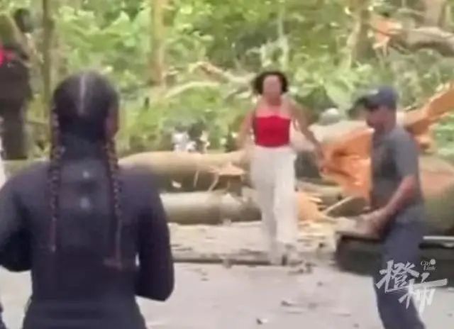 巴厘岛著名景区大树被强风吹倒，两名游客不幸身亡，当地媒体：这是常见灾害