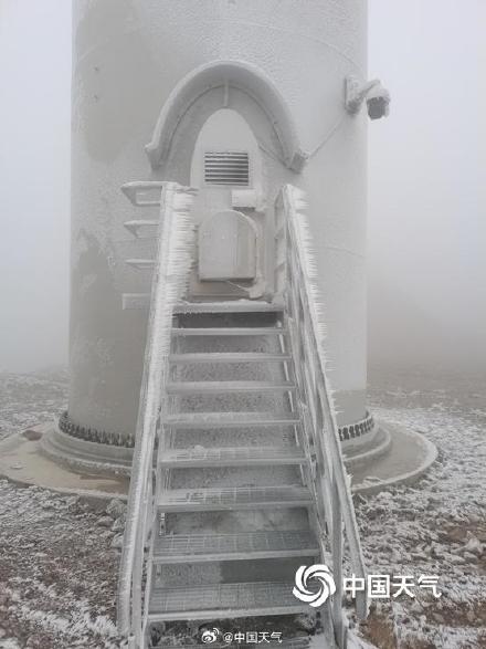 广西高寒山区现雾凇景观 淡淡霜雪挂枝头
