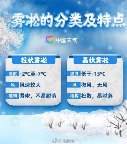 广西高寒山区现雾凇景观 淡淡霜雪挂枝头