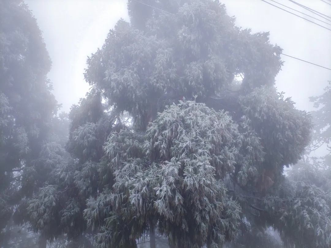 湖北多地下雪了！即将升温！直冲15℃