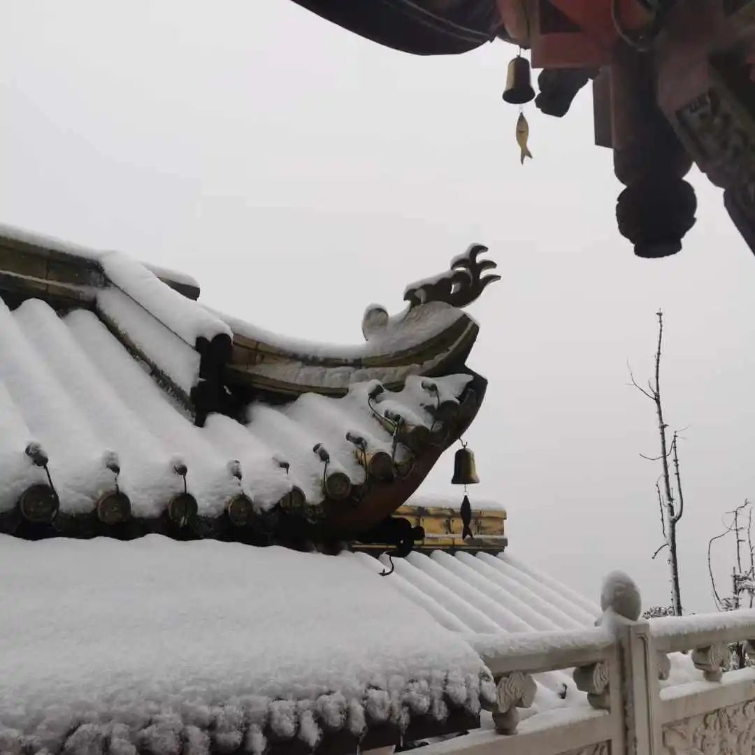 下!雪!啦!成都最低气温将跌至冰点 下!雪!啦!成都最低气温将跌至冰点