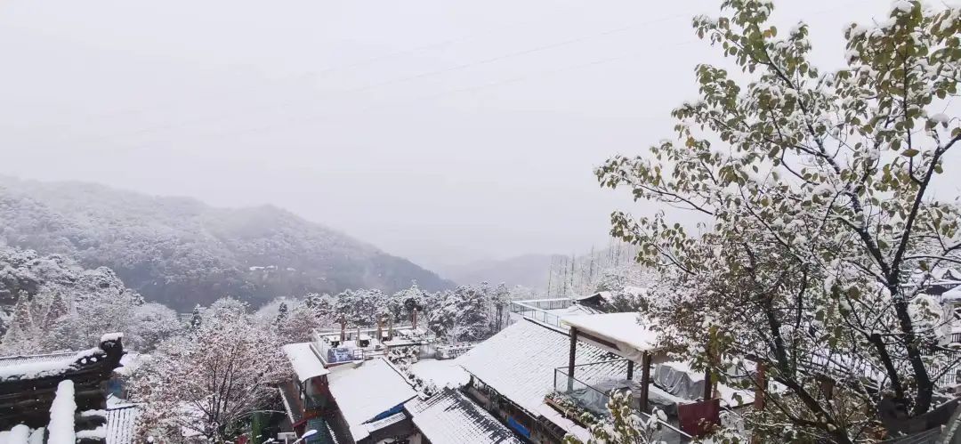 下!雪!啦!成都最低气温将跌至冰点 下!雪!啦!成都最低气温将跌至冰点