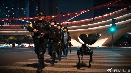 成都有支硬核汪汪队