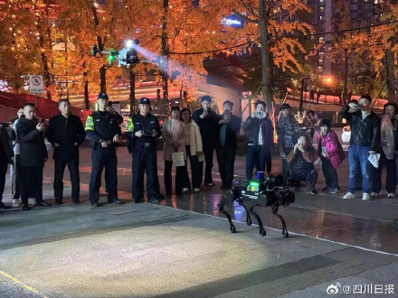 成都有支硬核汪汪队