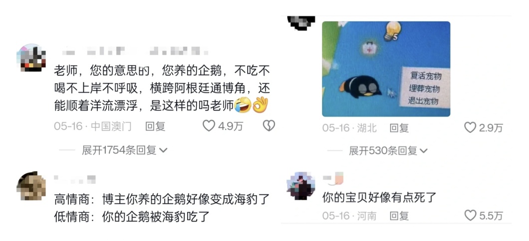 是什么，让年轻人抢着花钱认养？