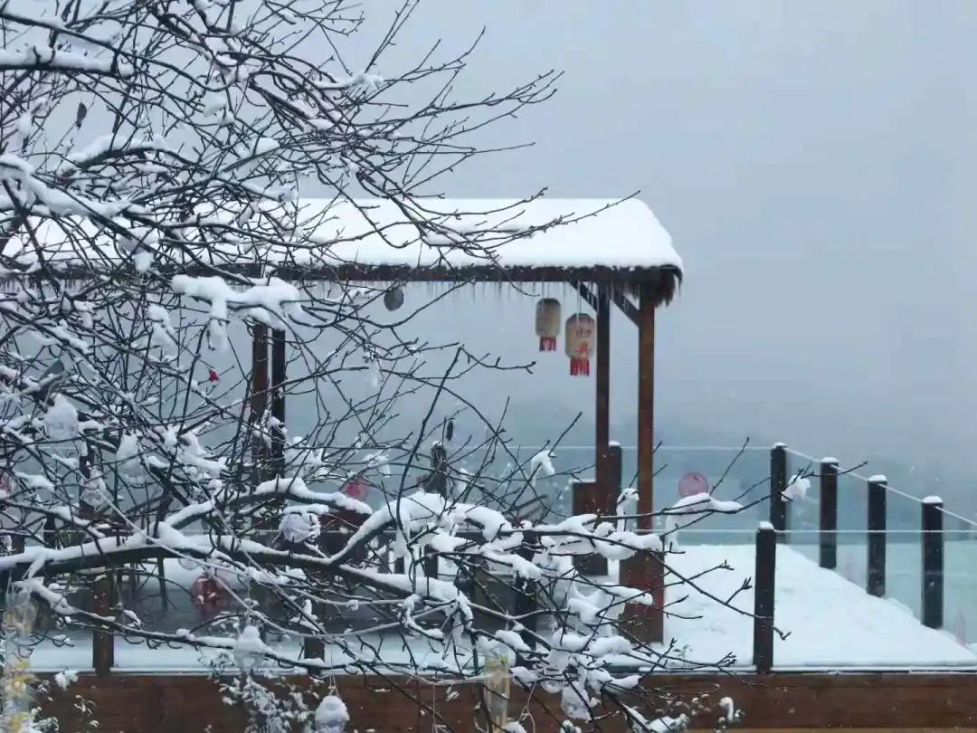 下!雪!啦!成都最低气温将跌至冰点 下!雪!啦!成都最低气温将跌至冰点