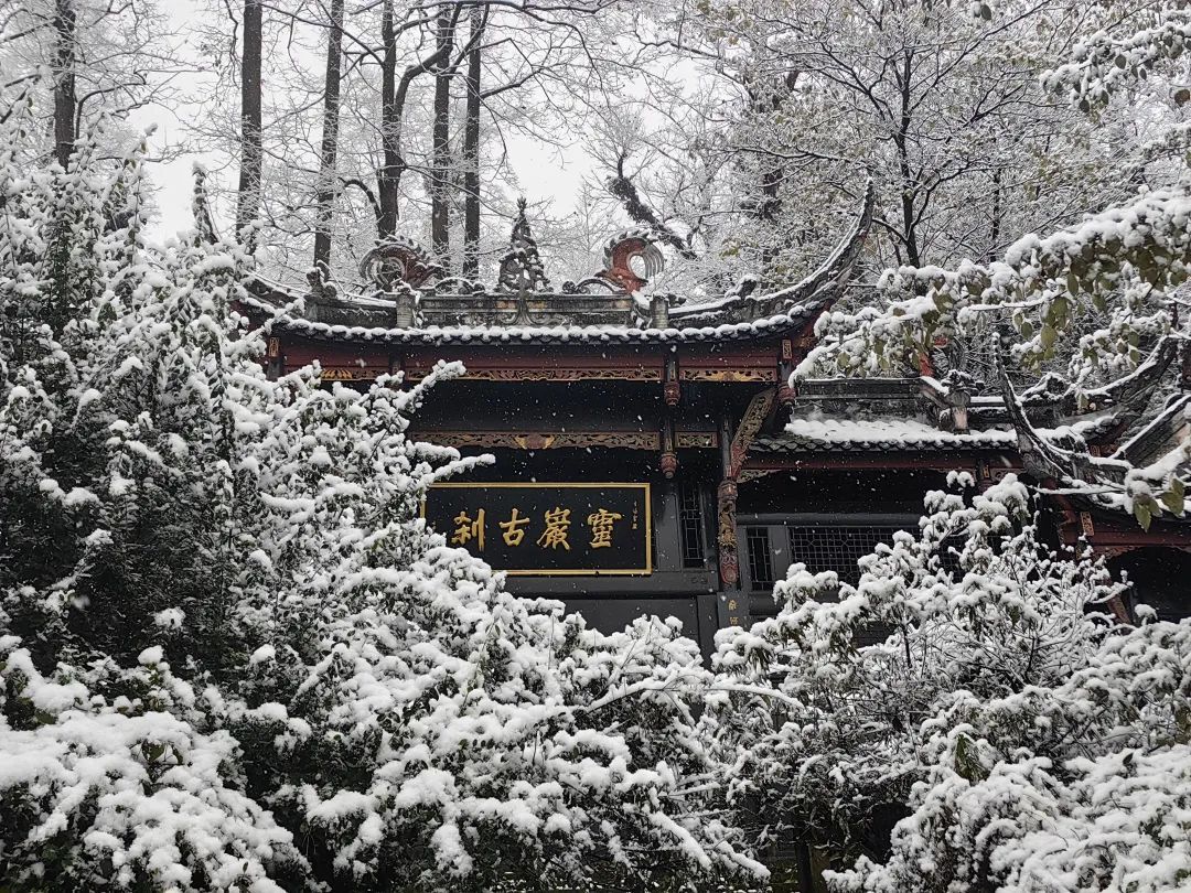 下!雪!啦!成都最低气温将跌至冰点 下!雪!啦!成都最低气温将跌至冰点