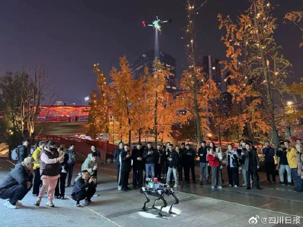 成都有支硬核汪汪队