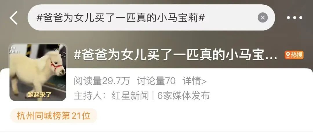 只因女儿喜欢！杭州爸爸竟斥巨资买了一匹“它”.....