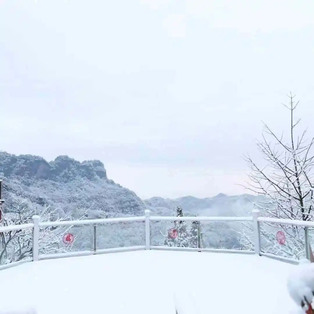 下!雪!啦!成都最低气温将跌至冰点 下!雪!啦!成都最低气温将跌至冰点