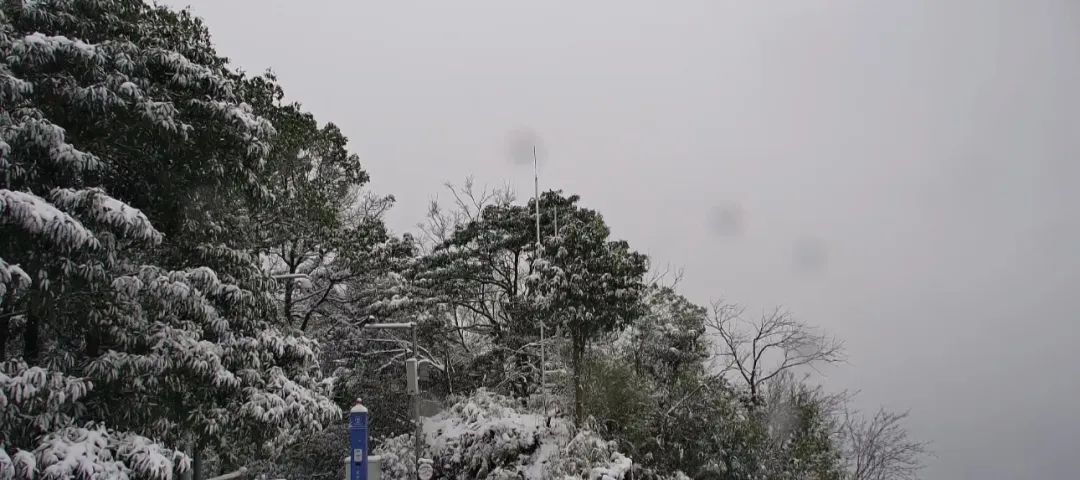 下!雪!啦!成都最低气温将跌至冰点 下!雪!啦!成都最低气温将跌至冰点