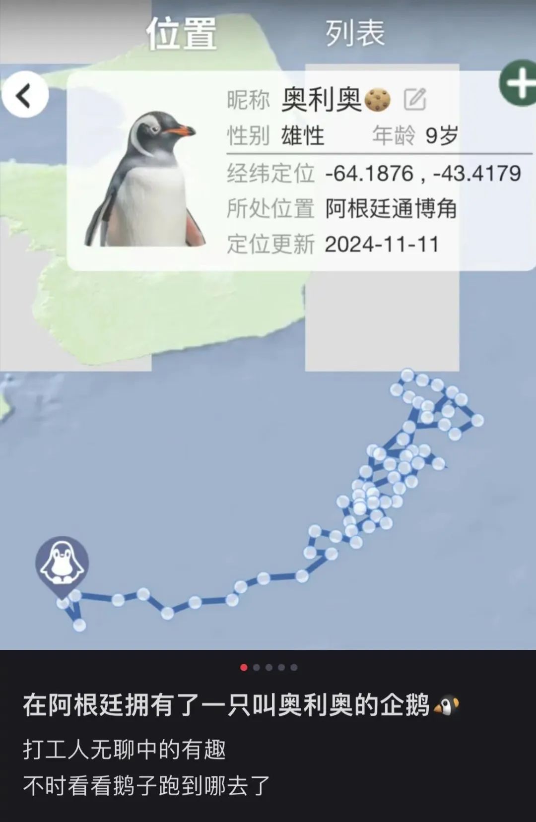 是什么，让年轻人抢着花钱认养？