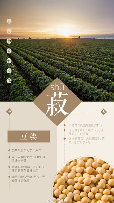 知识帖！一组图了解五谷的前世今生