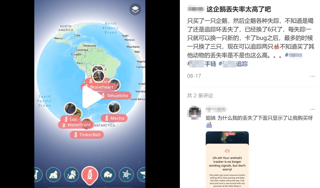 是什么，让年轻人抢着花钱认养？