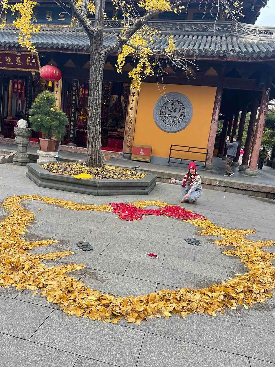 上海龙华寺“银杏猫咪”走红，引网友围观打卡