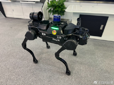 成都有支硬核汪汪队