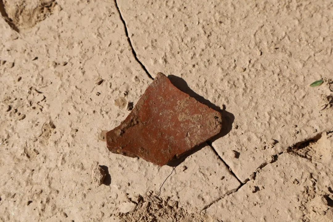 陕西又发现一座龙山时代早期大型石城遗址！距今4500年