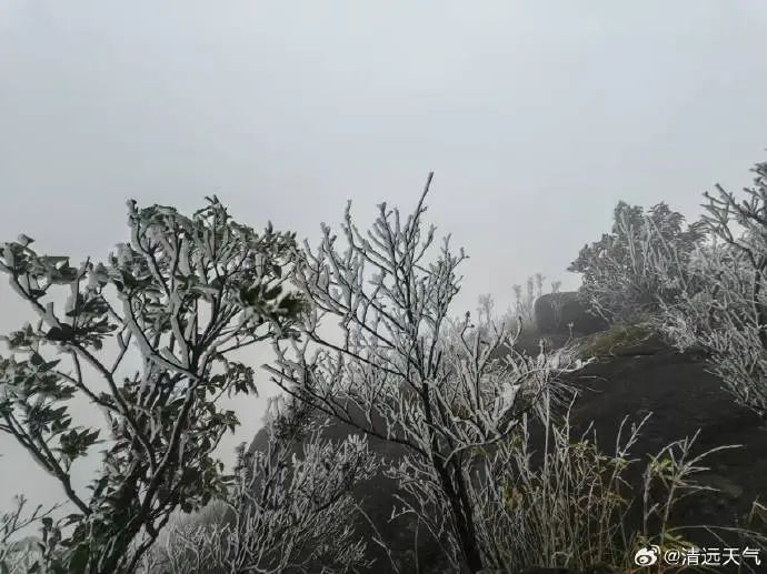 清远挂冰了 广州气温将继续降 清远挂冰了 广州气温将继续降