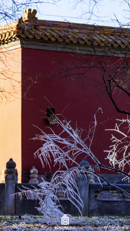 故宫冬日限定壁纸上新了！快来收藏！