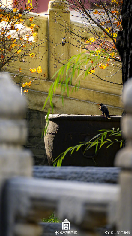 故宫冬日限定壁纸上新了！快来收藏！