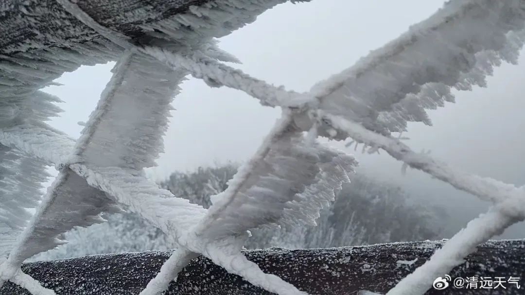 清远挂冰了 广州气温将继续降 清远挂冰了 广州气温将继续降