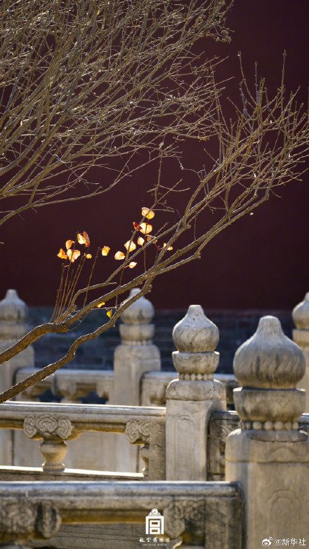 收藏！故宫深冬氛围感壁纸