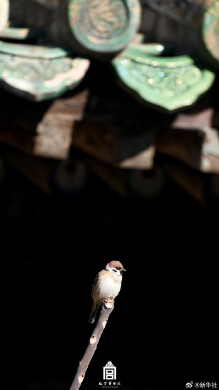 收藏！故宫深冬氛围感壁纸