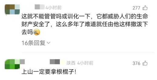 猴子抢包，遭游客"胖揍"！景区回应→