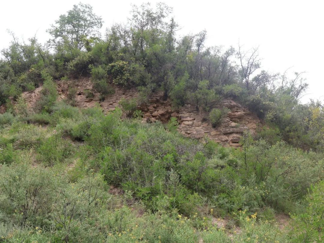 陕西又发现一座龙山时代早期大型石城遗址！距今4500年