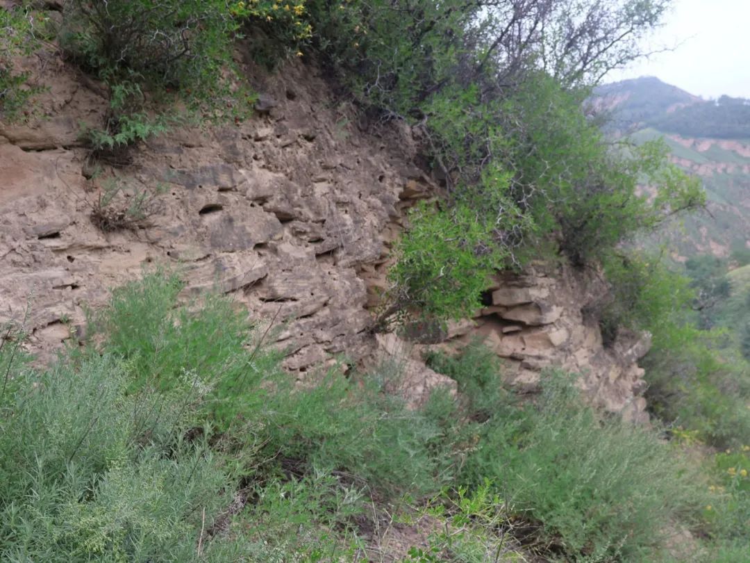 陕西又发现一座龙山时代早期大型石城遗址！距今4500年