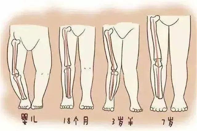紧急提醒！事关“冬季神器” 建议不超过3.5公分