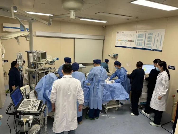 补药变“毒药”!这些药材不能盲目食用 补药变“毒药”!这些药材不能盲目食用